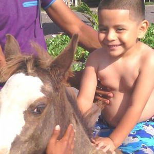 Meet your Posher, Marlon